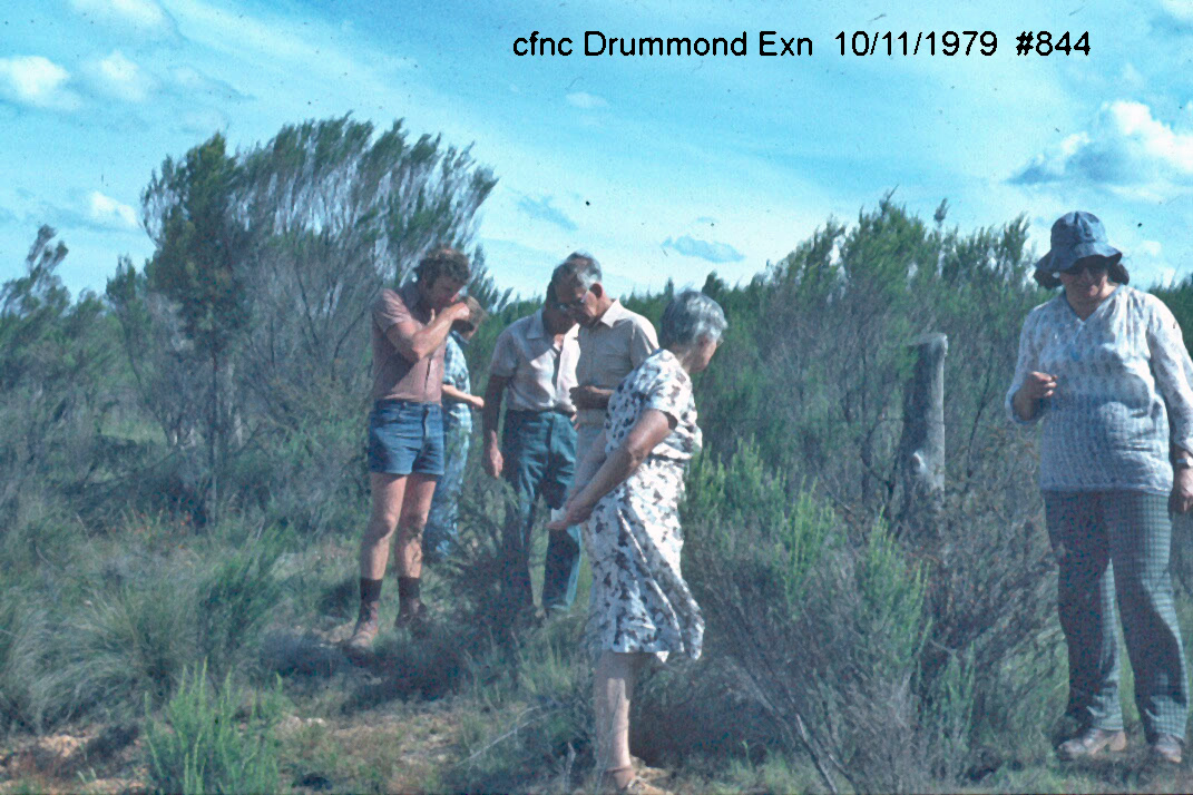 Our History Castlemaine Field Naturalists Club