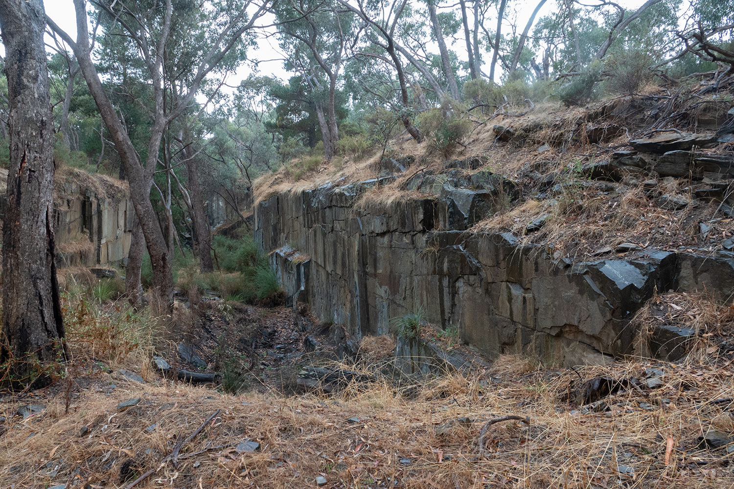 Geological Features of Castlemaine – Castlemaine Field Naturalists Club